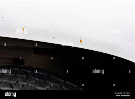 Image result for Body Work Rust