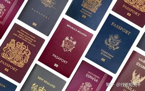 外国护照内容图解,外国护照怎么看懂图解 - 伤感说说吧