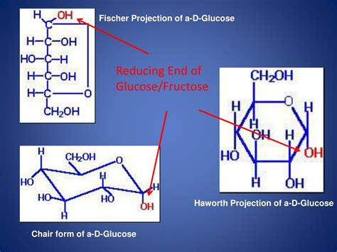 PPT - Sucrose Hydrolysis Through Chemical Analysis PowerPoint ...