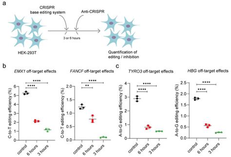 AcrIIA5 Suppresses Base Editors and Reduces Their Off-Target Effects