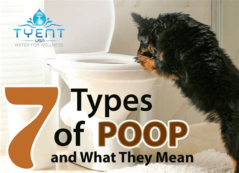 Poop Types 的图像结果