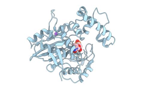 ISDA: 1BP6