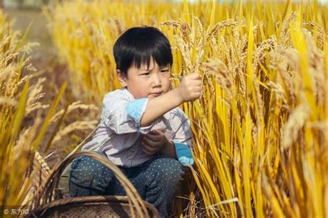 国内麦价走势转弱 国家临储麦成交“量降价跌”-南京微测生物科技有限公司