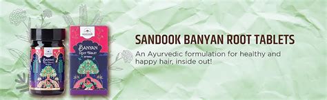 SANDOOK Banyan Root Care Tablet | Improves Hair Root Health | Scalp ...