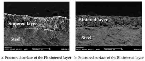 Tensile and Fracture Behavior of Bi-Containing Alloy Sintered on SAE ...