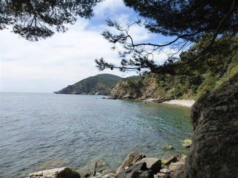 Cassis Tourism (2024): All You Need to Know Before You Go