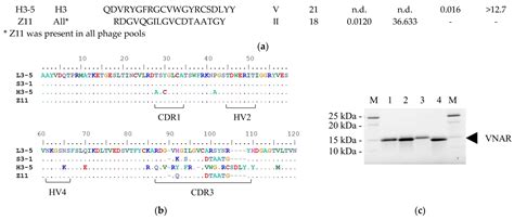 Novel Approach for Obtaining VNAR with Different Physicochemical ...