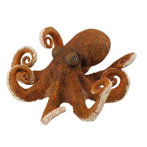 Image result for Octopus Metaheuristic Algorithm