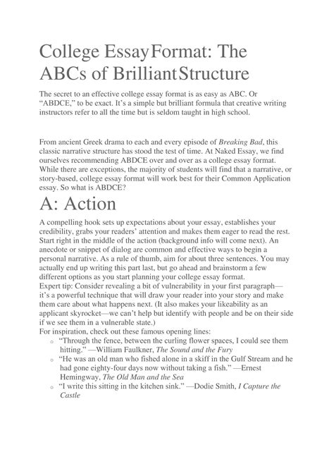 Example of Essay Format 的图像结果