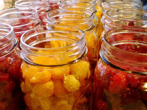 Image result for How to Make Raspberry Preserves