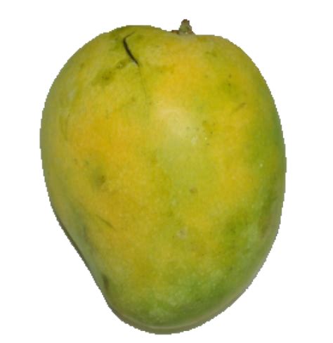 Buy Banganapalli Raw Mango Online in Bangalore at Low Price - Healthy ...