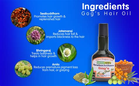 Buy Kangra Herb's Seabuckthorn Gog's Hair Oil (120 Ml) Rejuvenates The ...