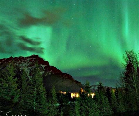 Beauty | Northern lights, Northern lights canada, Canada pictures
