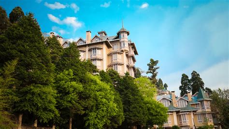 Cedar Inn, Darjeeling |Official Website| Hotel in Darjeeling