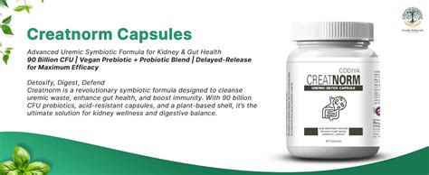 Uveda Naturals Creatnorm Capsules 90 Billion Spores Probiotic And ...
