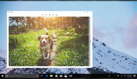 Image result for Heic Viewer
