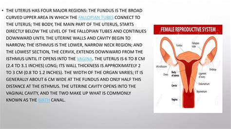 Histopath Grossing of uterus cervix &ovary | PPTX - isthmus of uterus
