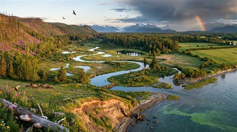 Ecology Examples 的图像结果