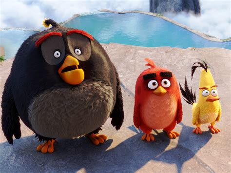 Angry Birds Best Animation-2016 Movies Posters HD Wallpaper Preview ...