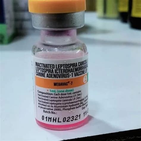Veterinary Tablets & Injectables - Exporter & Supplier from Pune
