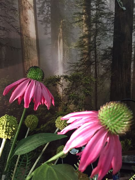 Photo Gallery: Delaware Garden Center - Oakland Nursery