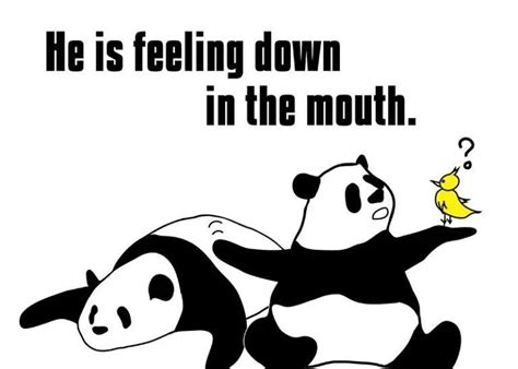 Boring 的图像结果