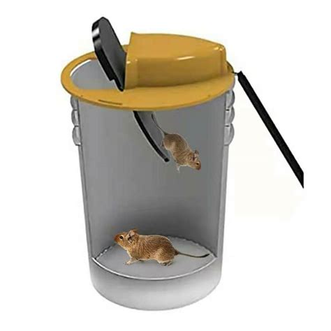 Reusuable Flip N Slide Mouse, Rat Trap Bucket Catcher, Mousetrap Lid ...