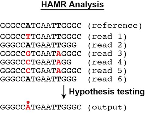 Image result for HAMR Scoring Matrix