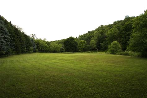 Image result for Back to Field