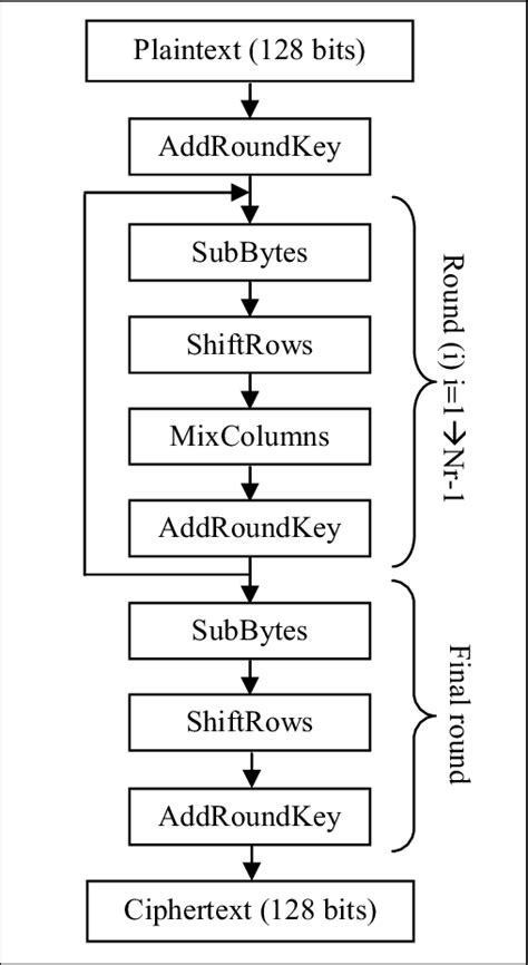 AES Algorithm 的图像结果