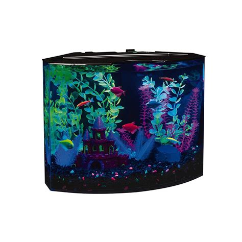 Best 5 Gallon Fish Tank ~ Top Fish Aquariums Online (2020)