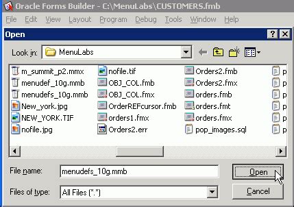 Image result for Oracle Forms Menu Design