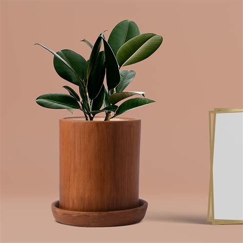 Lasaki Tumbler with Plate Tray Ceramic Pots for Indoor Plants,Planters ...