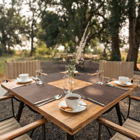 Dining | Trees N Tigers, Tadoba