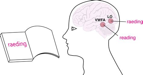 Indian Institute of Science