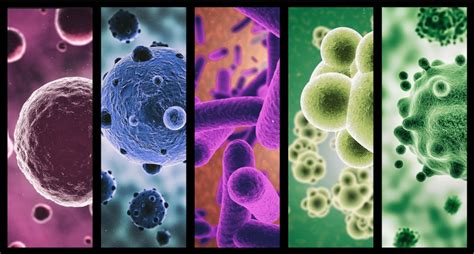 Image result for Pathogenicity of Microorganisms