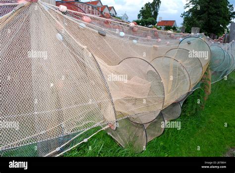 Image result for How to Set a Hoop Net for Fish