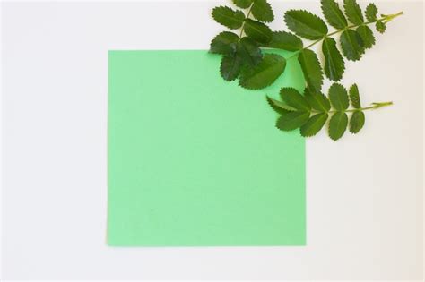 Image result for Writing Background Colored