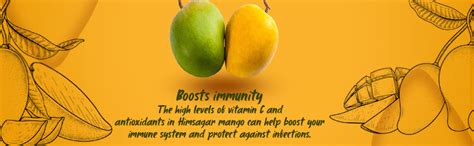 Fresh Mango Himsagar, 1 Kg : Amazon.in: Grocery & Gourmet Foods