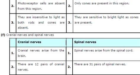 Neural Control and Coordination ncert solution class 11 Biology
