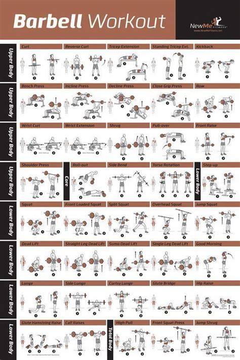Barbell Exercise Poster - Laminated in 2020 (With images) | Barbell ...
