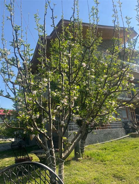 Heaven 👌 ️🙏 | Kevin T.