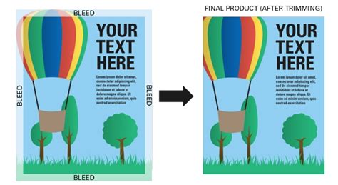 Image result for Color Labels