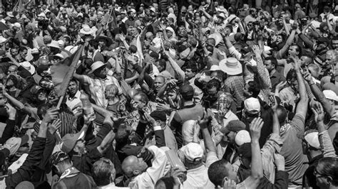 Dictatorship Examples 的图像结果