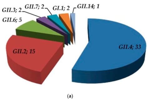 Predominance of Recombinant Norovirus Strains in Greece, 2016–2018
