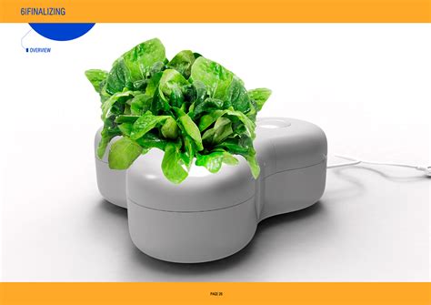 Image result for Hydroponic System Designs