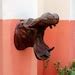 Buy 3d Jungle Animal Heads, Hippo Head Wall Mount, Hippopotamus Mouth ...