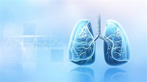 Respiratory Health: Essential Tips for Breathing Easy - 878 UK