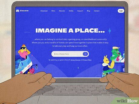 Image result for Learning Cat Discord