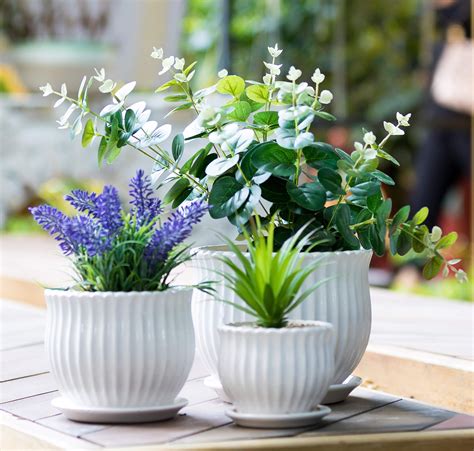 Nattol Ceramic Flower Plant Pots with Saucers, Modern Round Ceramic ...